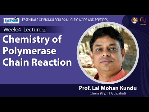 Essentials of Biomolecules Nucleic Acids and Peptides