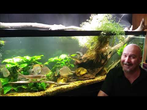 Knowing When To Do Nothing