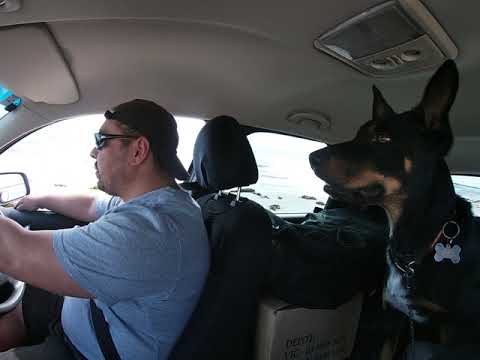 FORD TERRITORY  beach  driving robe beach soft sand AWD