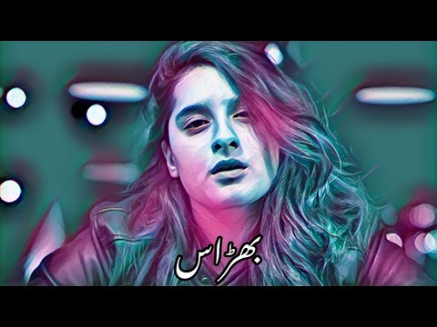 Bharaas OST Lyrics Full Video | Yashal Shahid & Adnan Dhool | Lofi Remake WORMONO | Shahzaad Alee