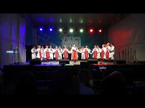 Festivl arad zilele aradului 2019 micalaca