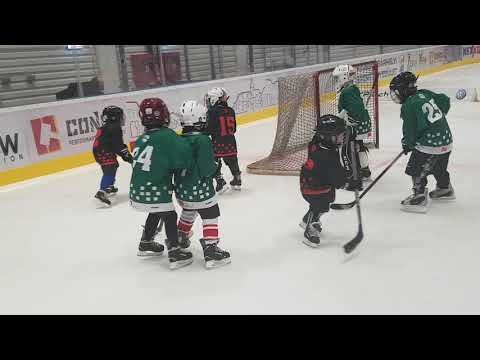 Vsk Udvarhely - Alcsik U8 II