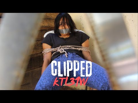 CLIPPED