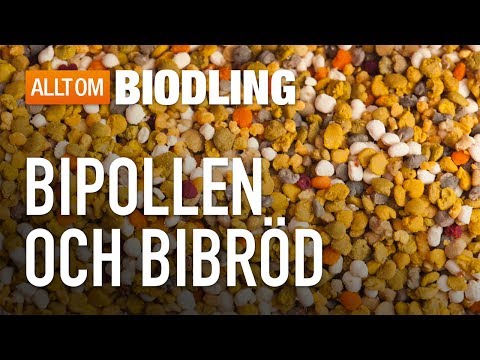 , title : 'Bipollen och Bibröd - Pollen - Biprodukter'