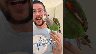 My Favorite Thing About Parrot Stars