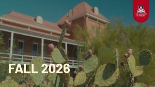 What Happens When Wildcats Are Away