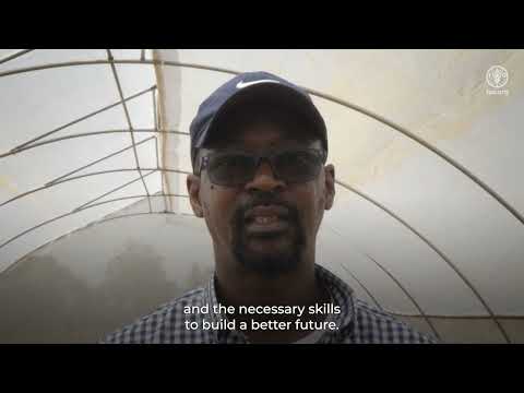 From mining to organic agriculture: creating green jobs for rural youth in Sierra Leone