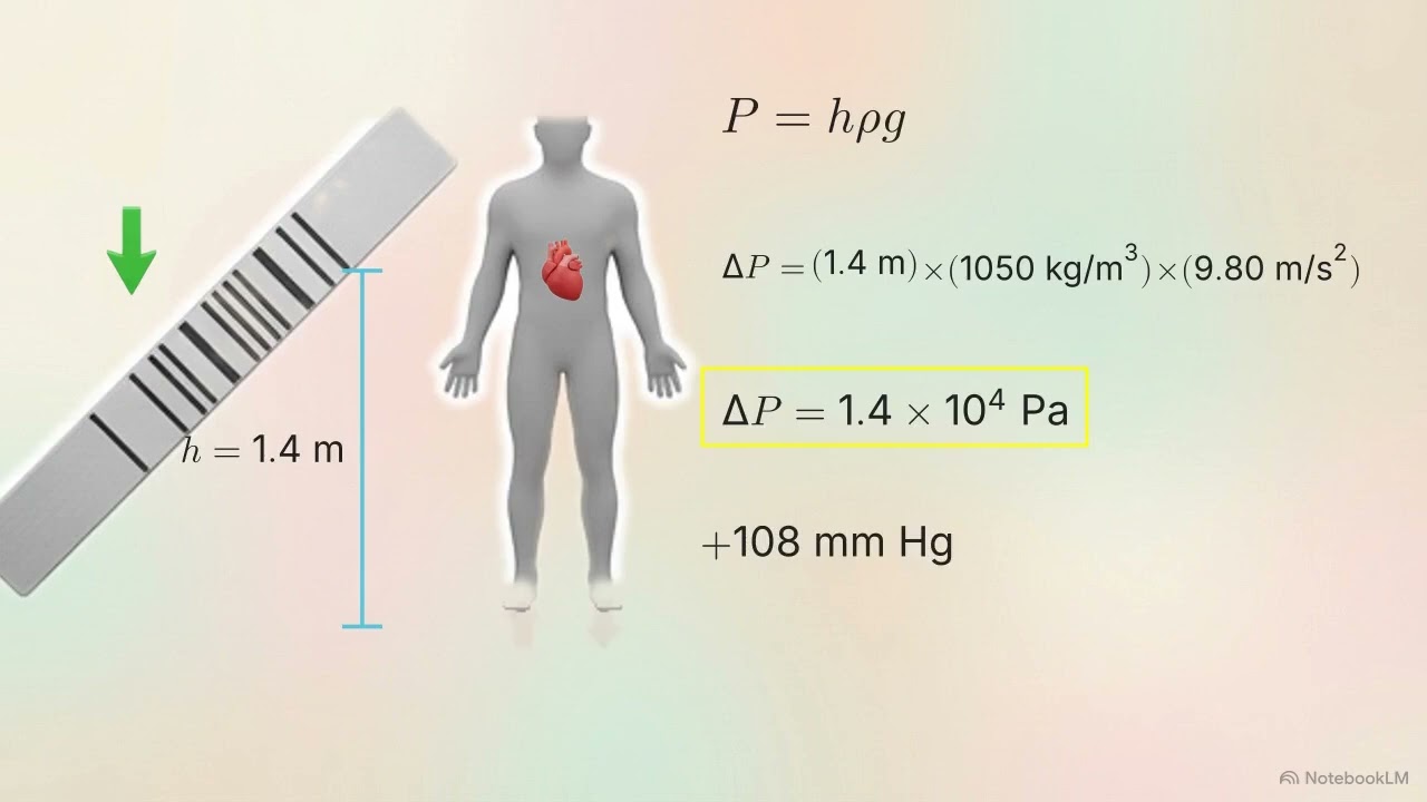Pressures in the Body