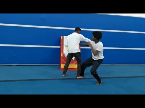 Kung Fu Break Down Of The Flow Vid 19 Mantis Kung Fu Sifu Bryan