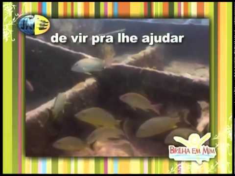 DVD Jovem 2009 - Uma Razão para Lutar