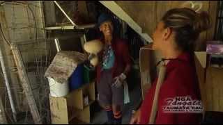 Hue - New Zealand Gourds, Ruatoki