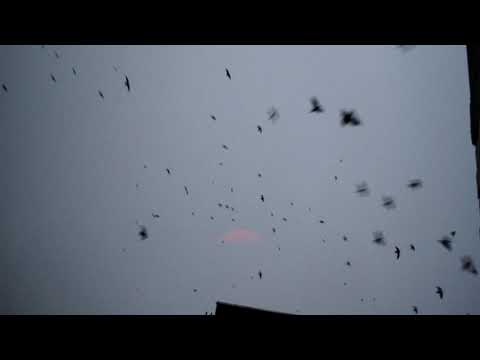 izzamuzzic - De Vu (Snglz Album)