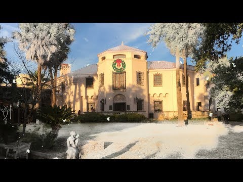 Felices Fiestas from the McNay