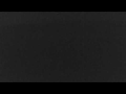 Cape Cod Museum of Natural History Live Stream