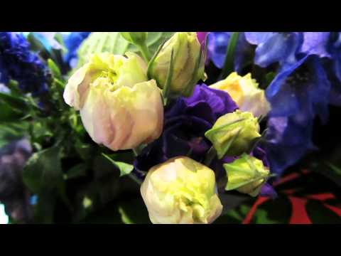 Opwekking 257 Uw lieflijk Aangezicht