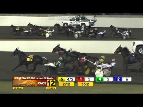 Meadowlands January 15, 2016 - Race 12 - Cloris Hanover