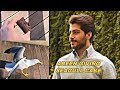 Areen Barzani Giving Cake To A Seagull