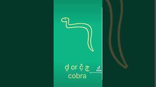 Beginning Egyptian Hieroglyphs: the cobra #hieroglyphs