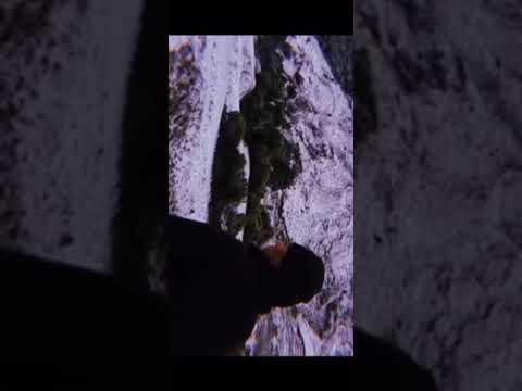 Manatu ‘ofa kihe api Ko Fualu!