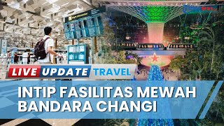 Fasilitas Mewah Hiasi Bandara Changi Singapura, Pusat Transportasi Udara Terbesar di Asia-Pasifik
