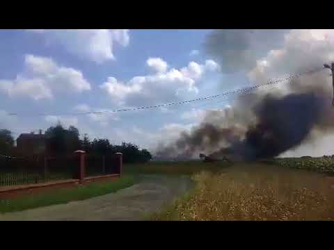 Piotrkowski24.pl Pożar w okolicach Witowa. 23.07.2018