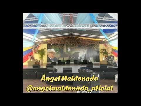 LOS 60 DE REYNALDO ARMAS - ANGEL MALDONADO 01 (EN VIVO)