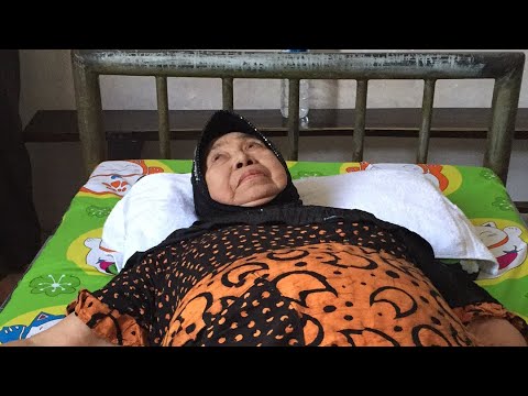 Kenari dan potensi Bagaimana membuat jahe untuk potensi