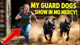 HOA Karen Broke Into My Cabin… But My Dogs Gave Her the Warmest Welcome Ever! 🐕😳🔥#karen #hoa