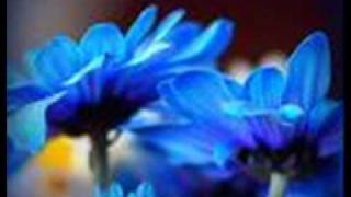 george acosta featuring ford -  blue monday 2005 ford radio mix