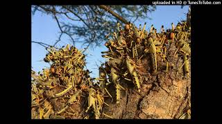 Project Pat – Get That Up Off Ya (Shayf Dixon Remix)