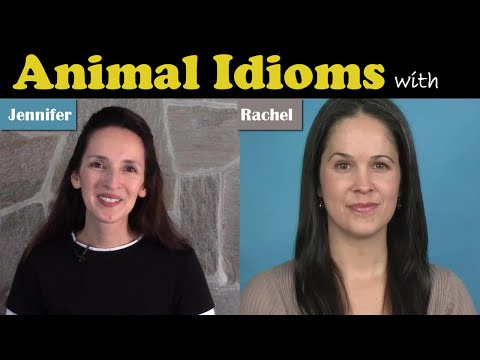 Animal Idioms