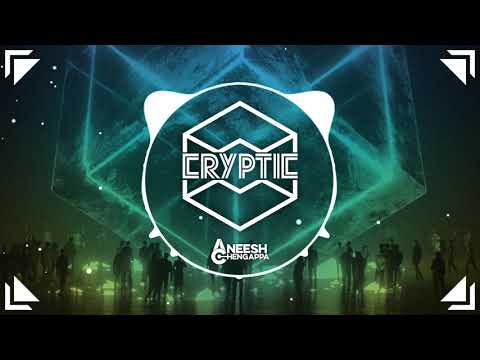 Aneesh Chengappa - Cryptic