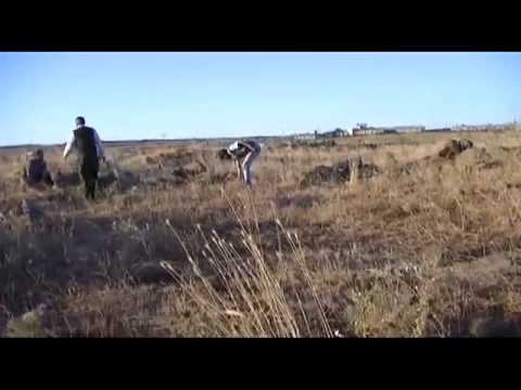 توثيق للتدريبات الصباحية التي تقوم بها سرية الشهيد محمد الصاحب أبو عمر