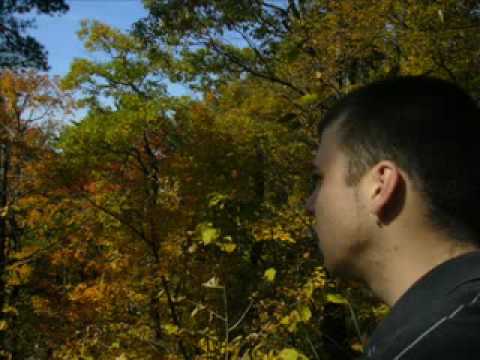 Wild MC's La vielle école