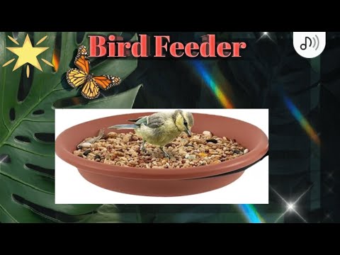 Bird feeder installation by Devang & Tanishka! #nature #bird #youtubevideo #youtubeviral #viral 