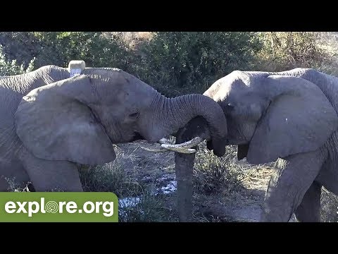 Snapshots of the Week!