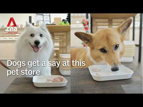 The Dog Grocer isn’t your typical pet food store – they do taste tests