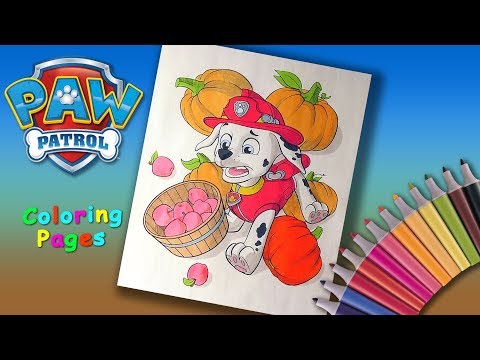 PAW Patrol coloring book Pups Save the Farm Coloring Marshall Video