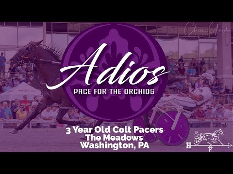 2019 Adios Final - Southwind Ozzi