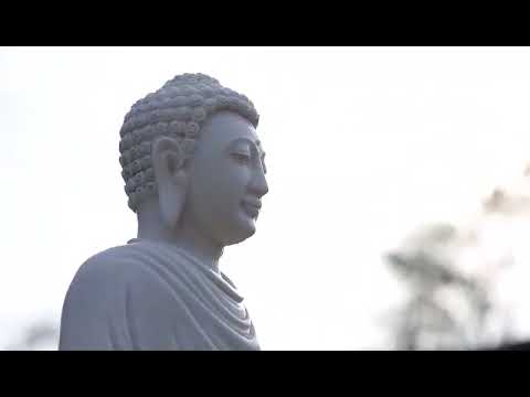 Land of the Nirvana - Official Trailer