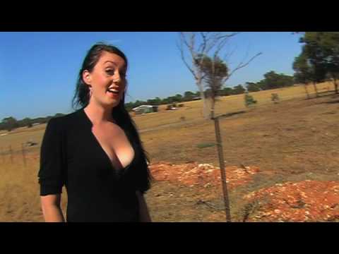 Emma Kelly- The Muse, New Australian country music
