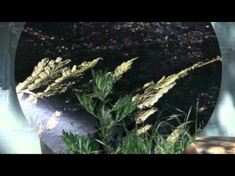 Yitzhak Yedid : Myth Of The Cave / The Crystal Hope (First Movement)