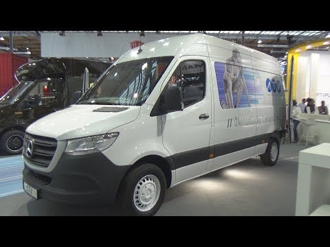 Mercedes-Benz Sprinter 314 CDI ATV Regalsystem ECO Shelf 2.0 Panel Van (2019) Exterior and Interior