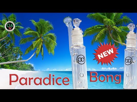 Paradice Bong - weniger Schmutz, mehr Spaß! - Das neue 3 Kammernsystem