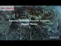 Ramayan Part 3 Ll रामायण कहानी आरंभ Ramayan Ram Ramji Siyaram Sitaram 