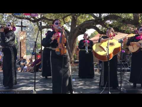 Mariachi Flor de Jalisco - Los Laureles