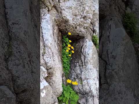 Hornurile Văii Seci a Caraimanului (Bucegi), în coborâre solitară