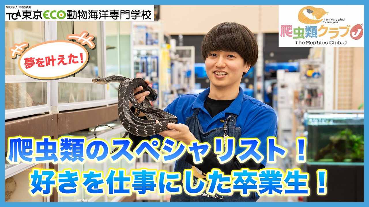 爬虫類クラブで飼育販売員として活躍する卒業生にインタビュー！
