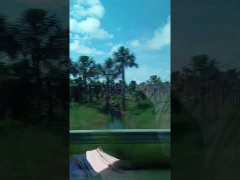 rumo a Vilhena em Rondônia