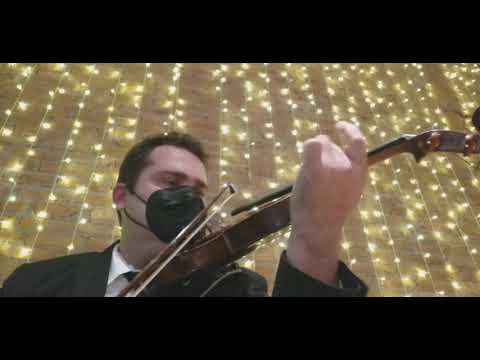 Can't help falling in love (Elvis)